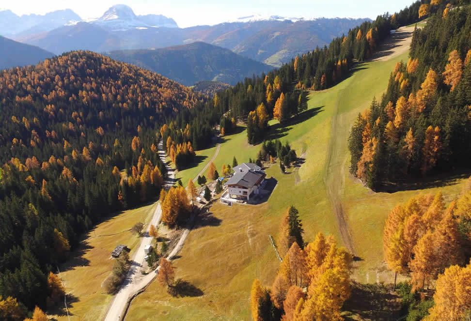 Alpine Hotel Gran Fodà -Estate, pascoli, dolomiti, alpi